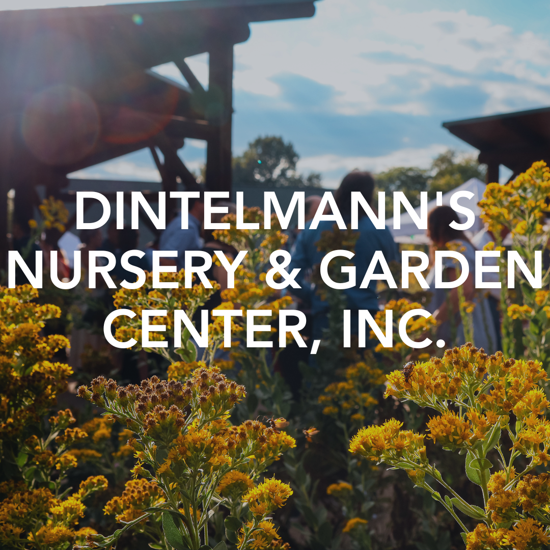 Dintelmann's Nursery & Garden Center, Inc.