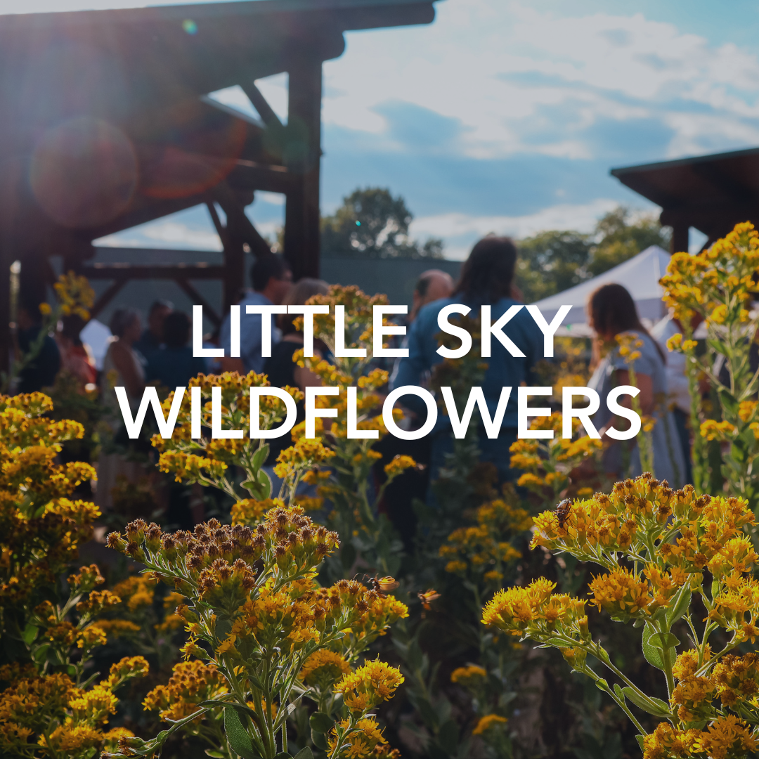 Little Sky Wildflowers