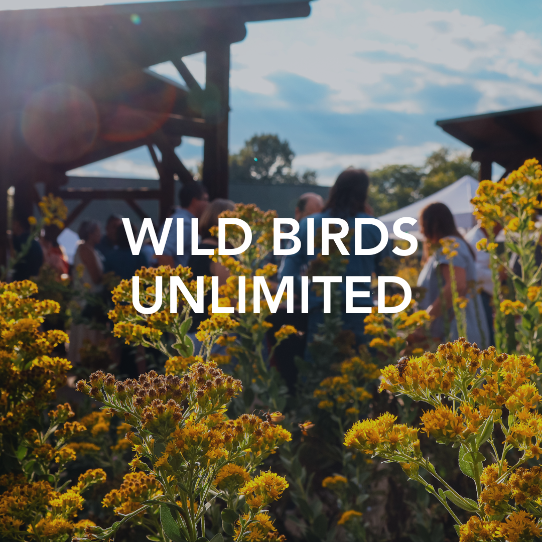 Wild Birds Unlimited