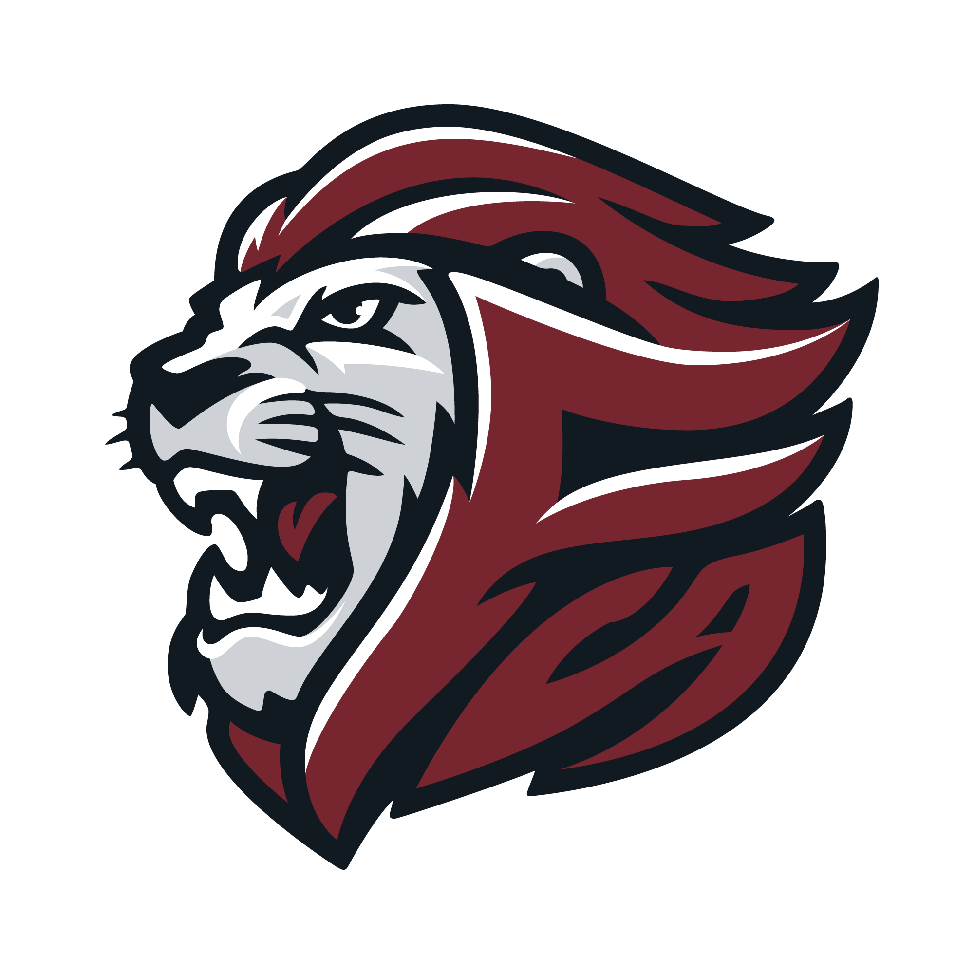 Faith Christian Academy