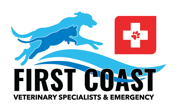 First Coast Veterinary Specialists and Emergecy