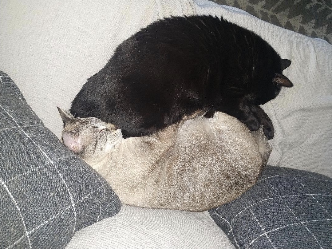 Heart Yin Yang