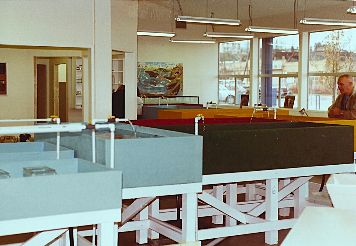 Feiro Original Interior Lab Space