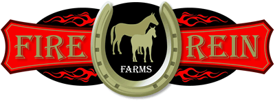 Fire & Rein Farms/Tony The Tiger