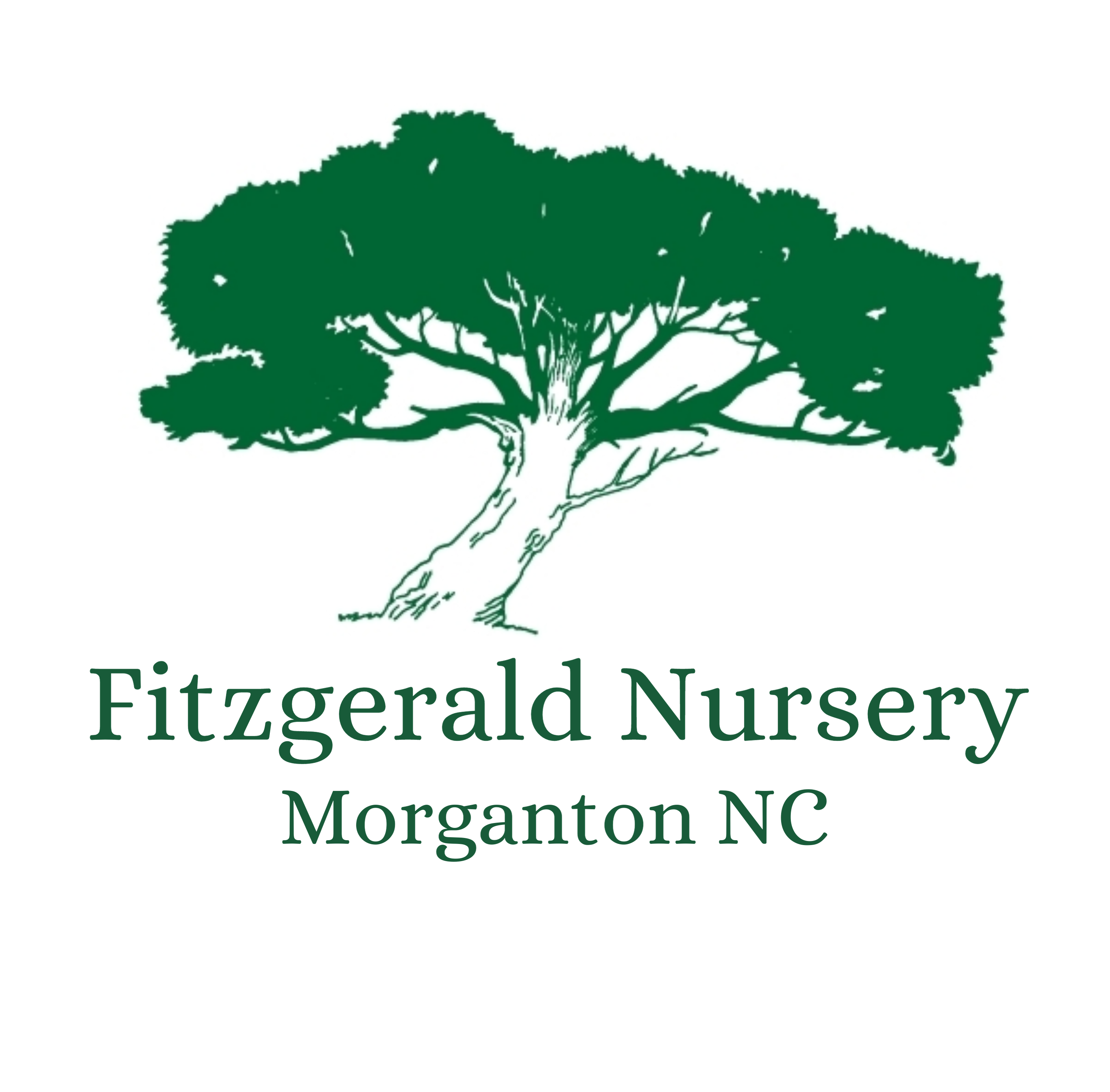Fitzgerald Nursing Home Game Sponsor-$300
