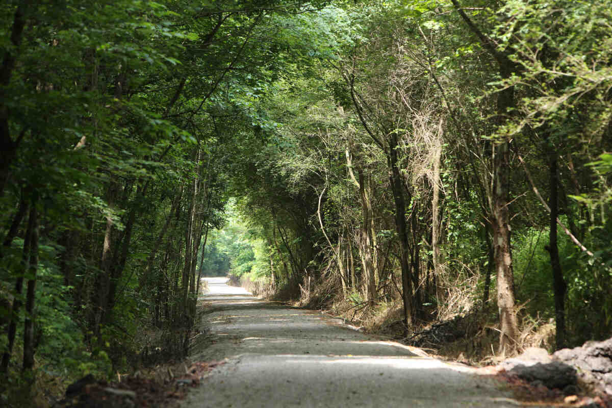 Five Mile Creek Greenway