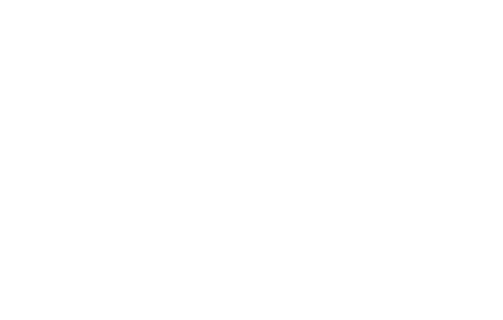 Flint Global Partners Inc