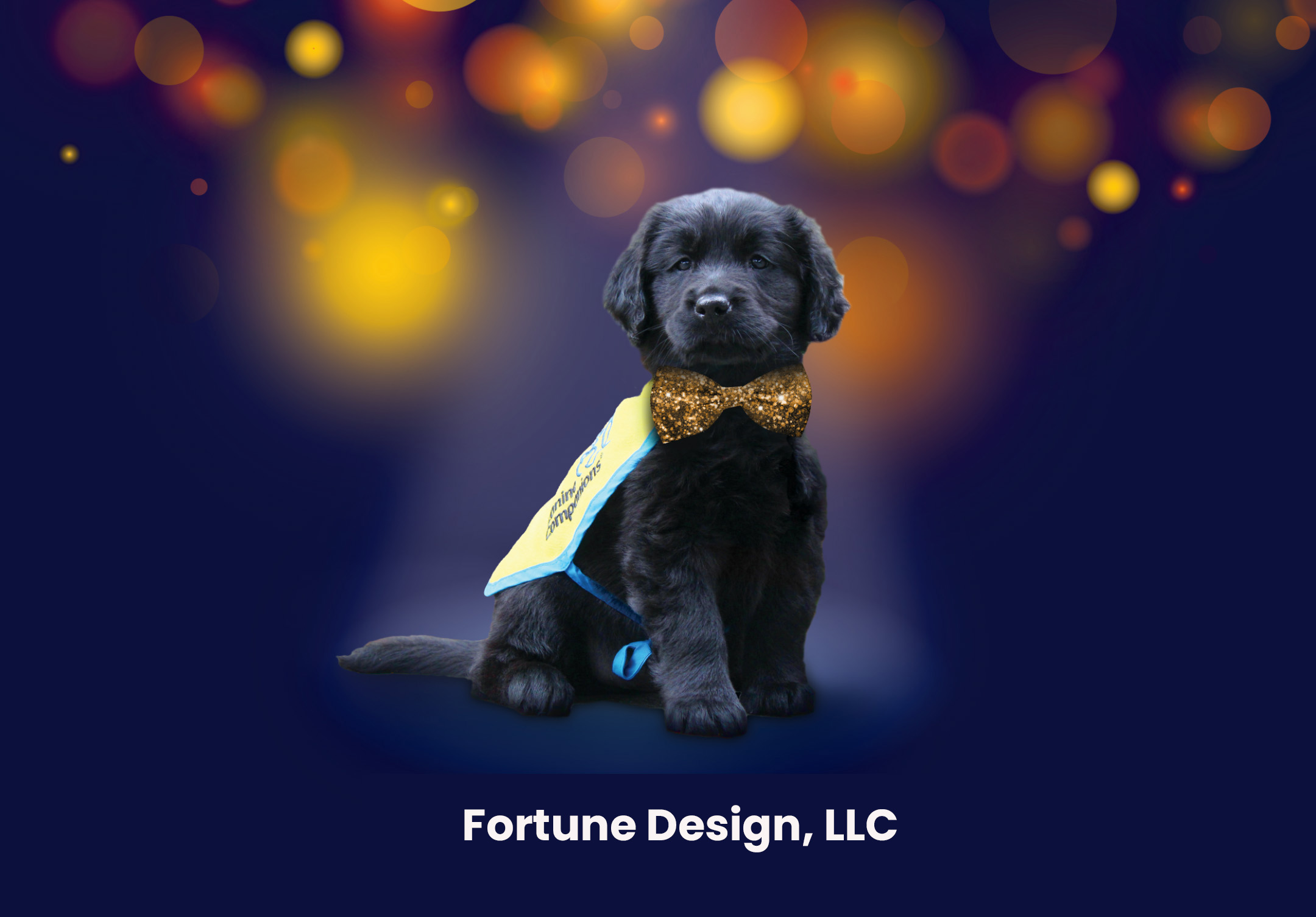 Fortune Design, LLC