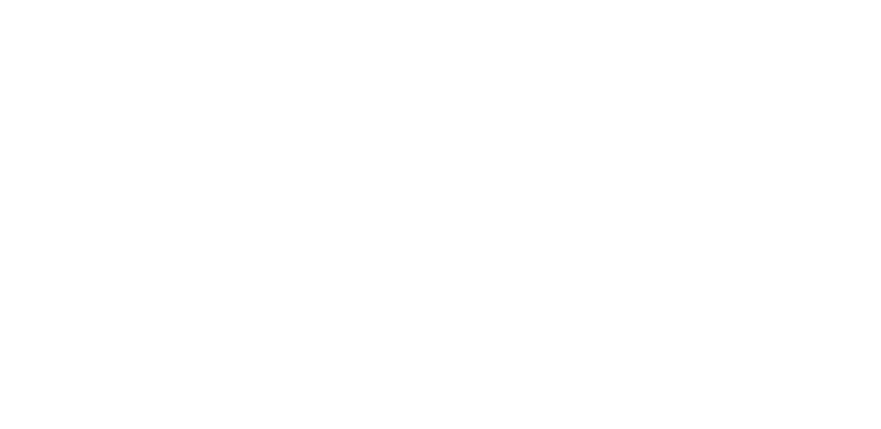 FOXG1 Research Foundation