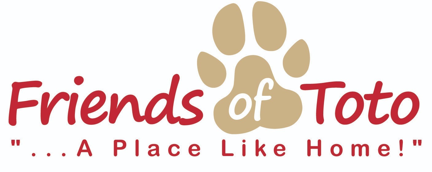 Friends of Toto