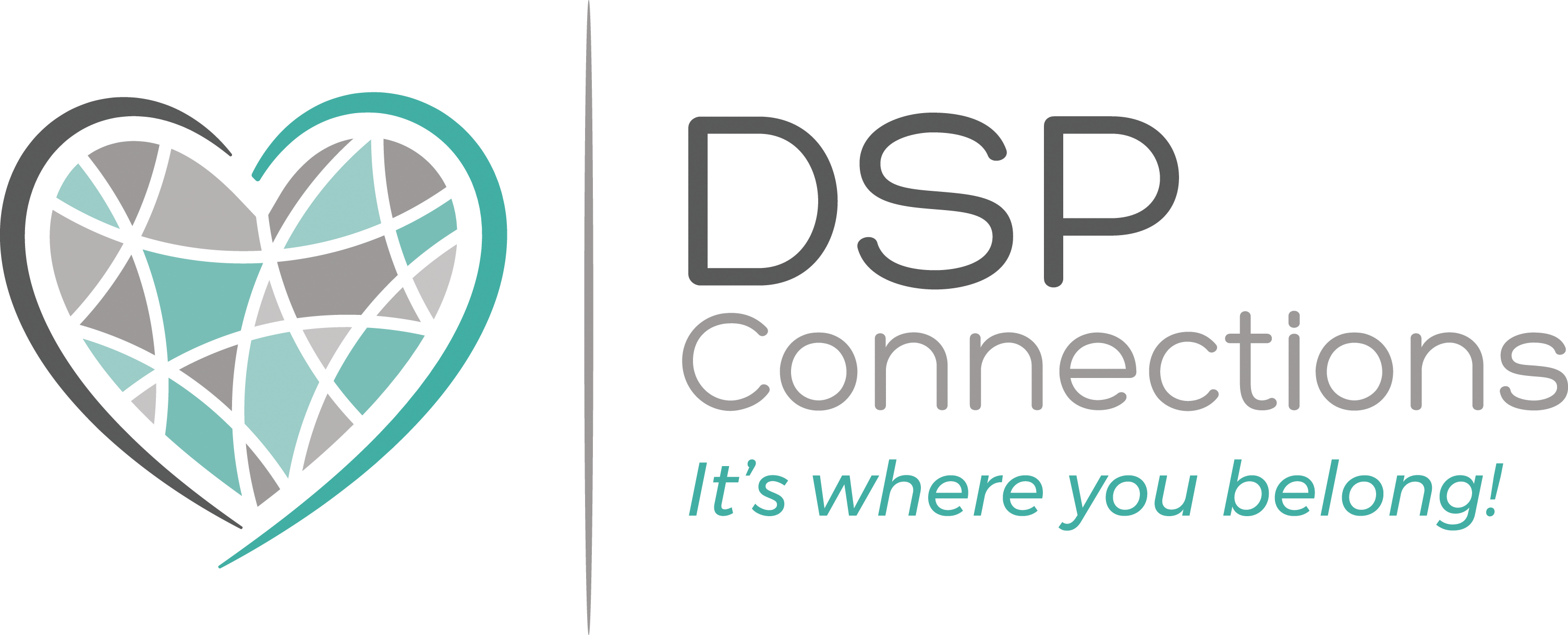 DSP Connections
