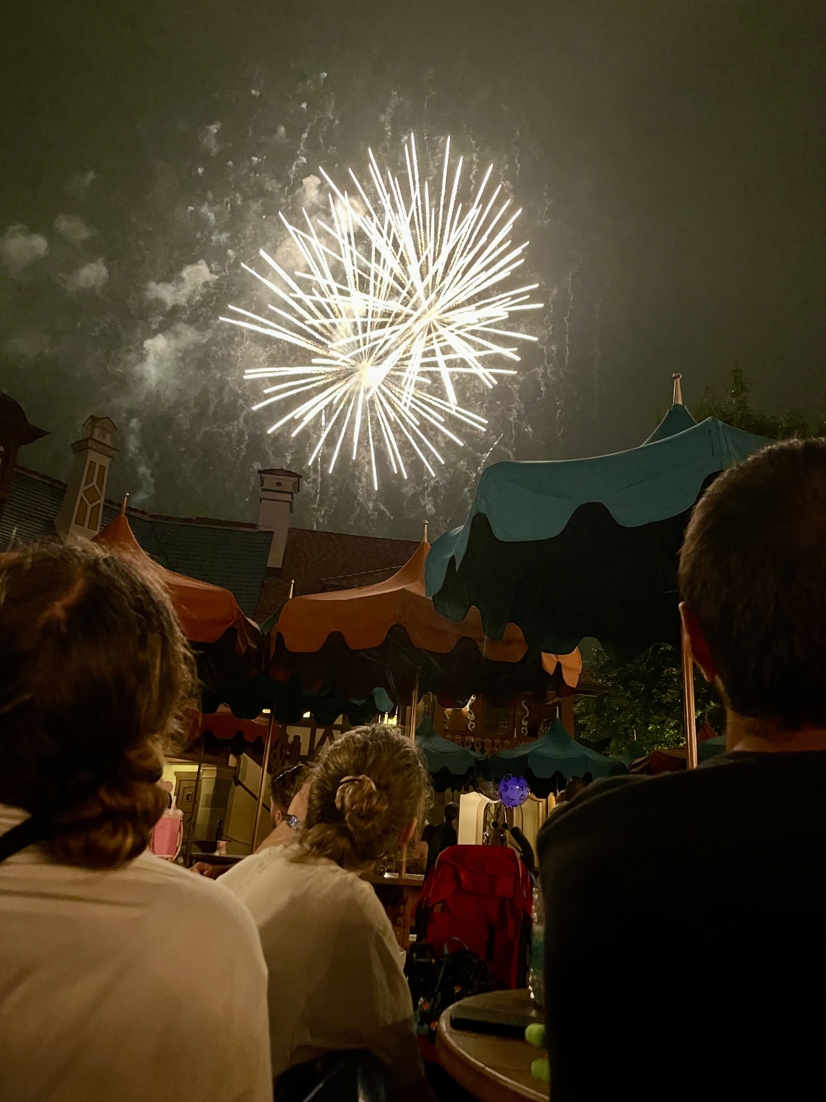 Midnight Magic Kingdom