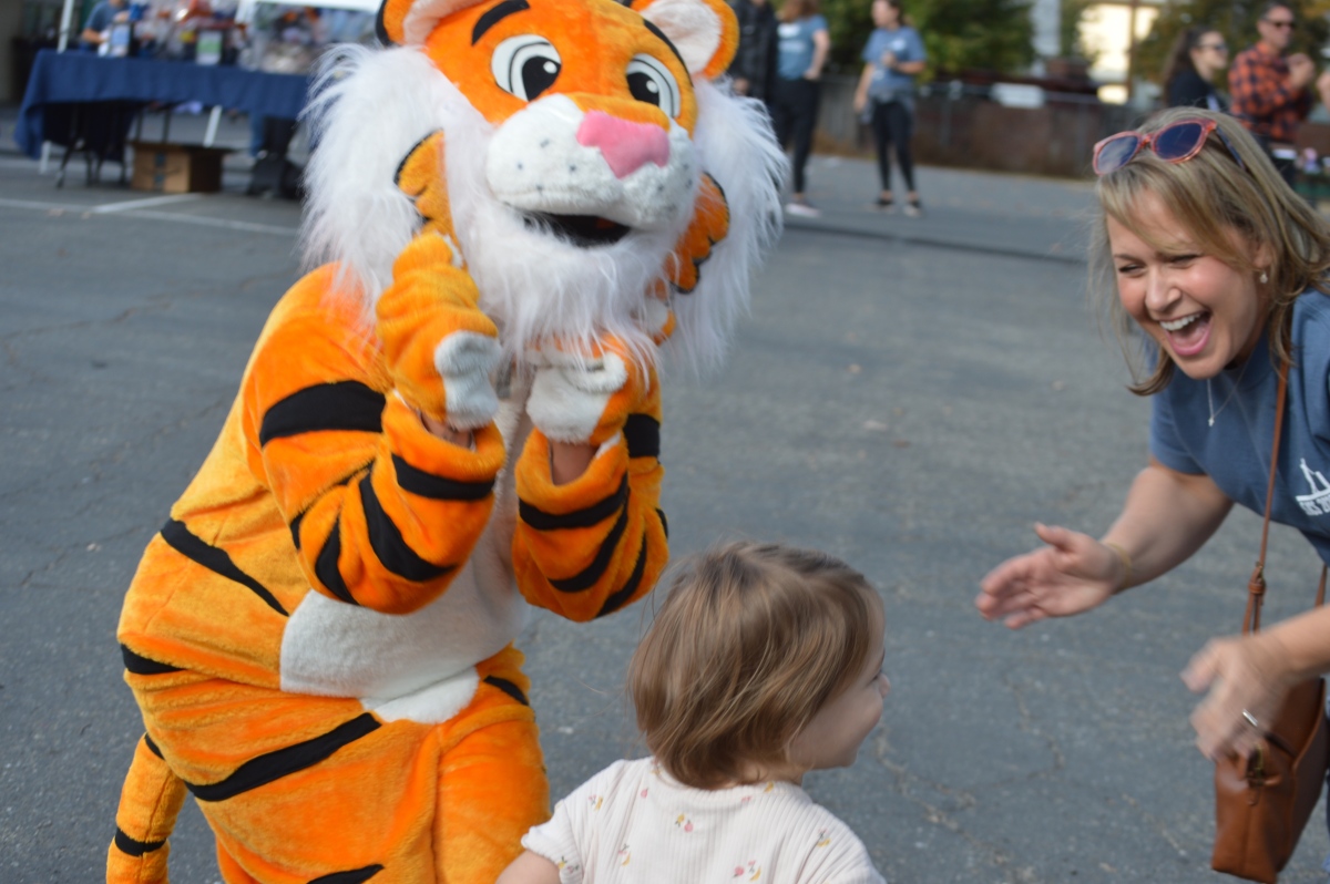 Fun for All Ages