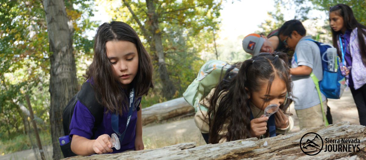 Students explore a local nature area through Classrooms Unleashed.