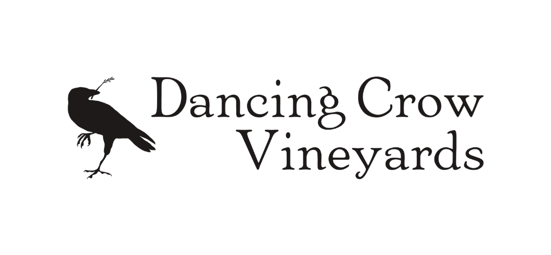 Dancing Crow