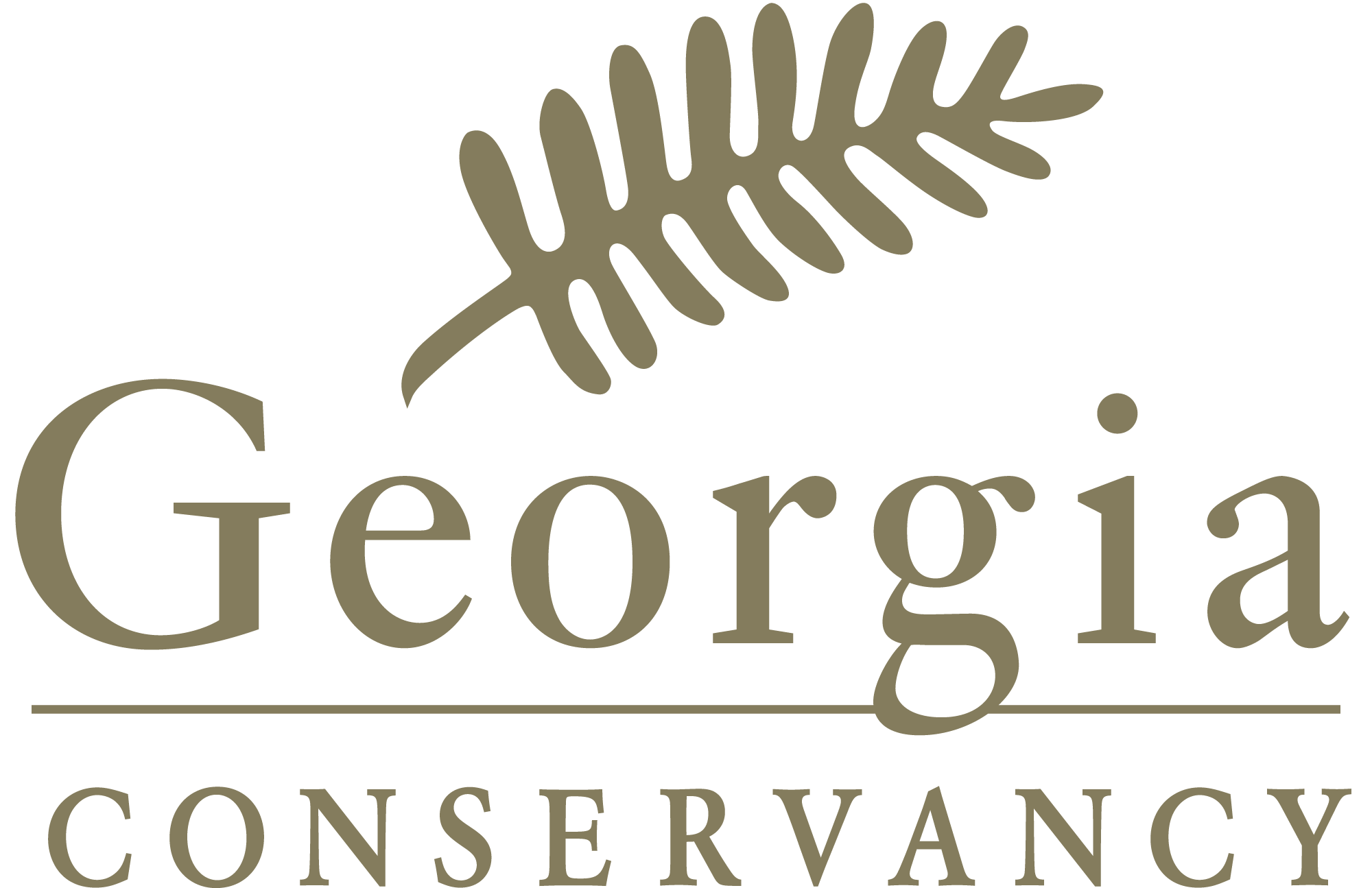 Georgia Conservancy