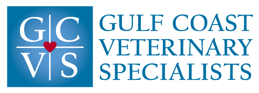 Gulf Coast Veterinary Specialists