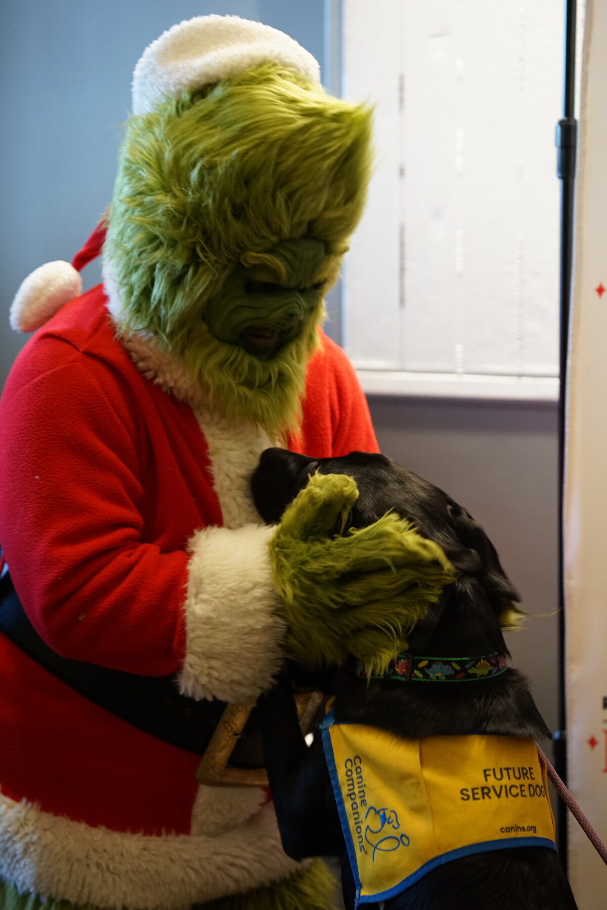 Even the Grinch loves Future Service Dog Gerard.
