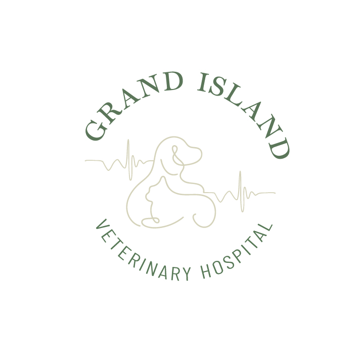 Grand Island Veterinary Hospital
