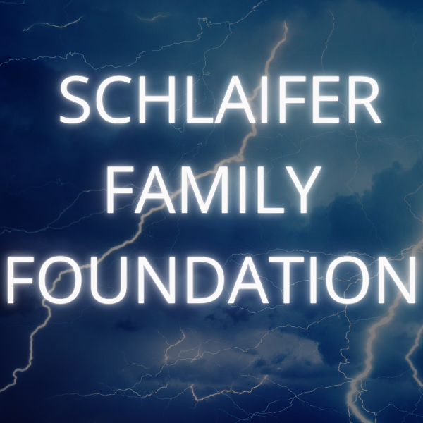 SCHLAIFER FAMILY FOUNDATION