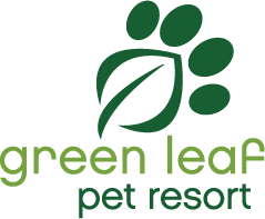 Green Leaf Pet Resort