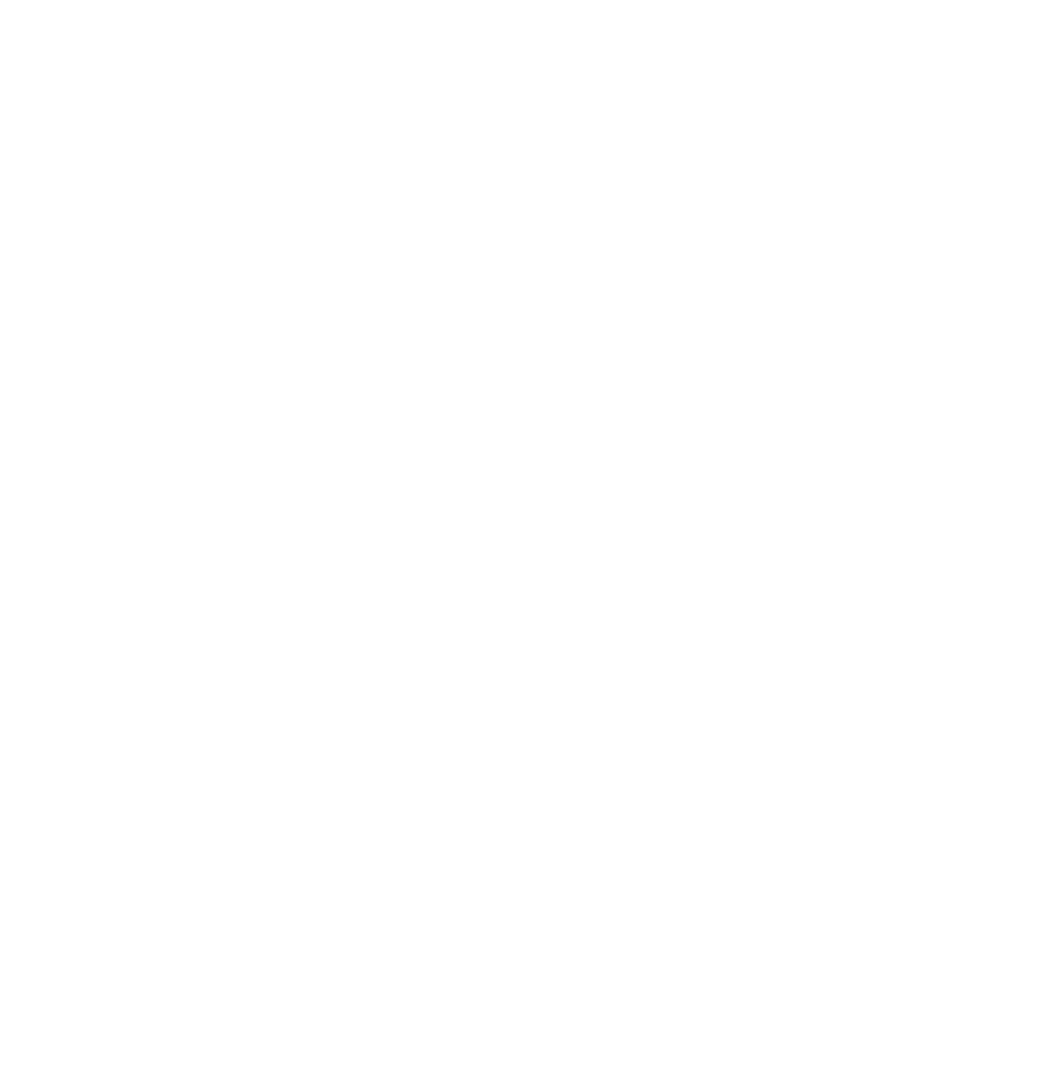 GO InterNational