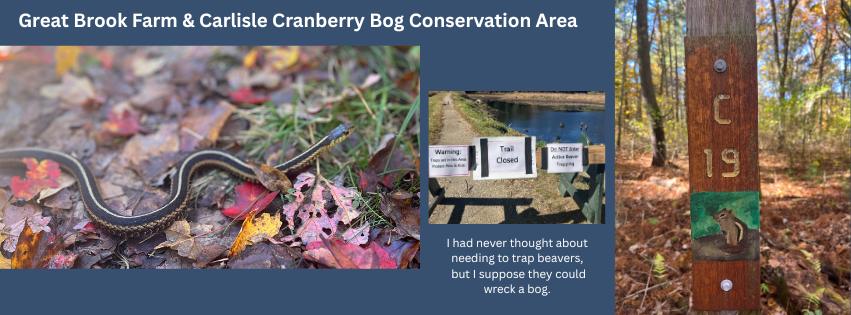 Training Hike #9: Great Brook Farm, MA - 4.8mi