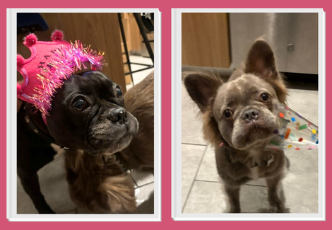 Lola and Bobby