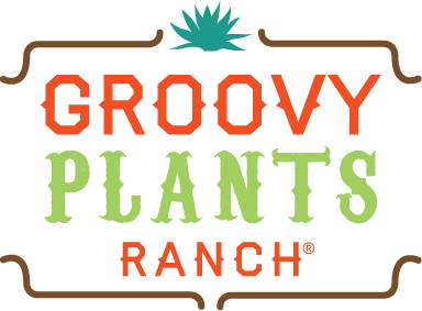 Groovy Plants Ranch