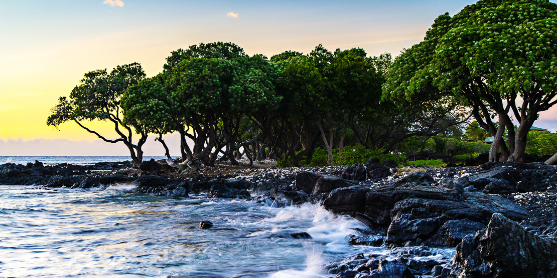 Grand Prize: Hawaiian Vacation: 5 night stay at Waikaloa Resort located on the Big Island of Hawaii. Airfare for 2 included!