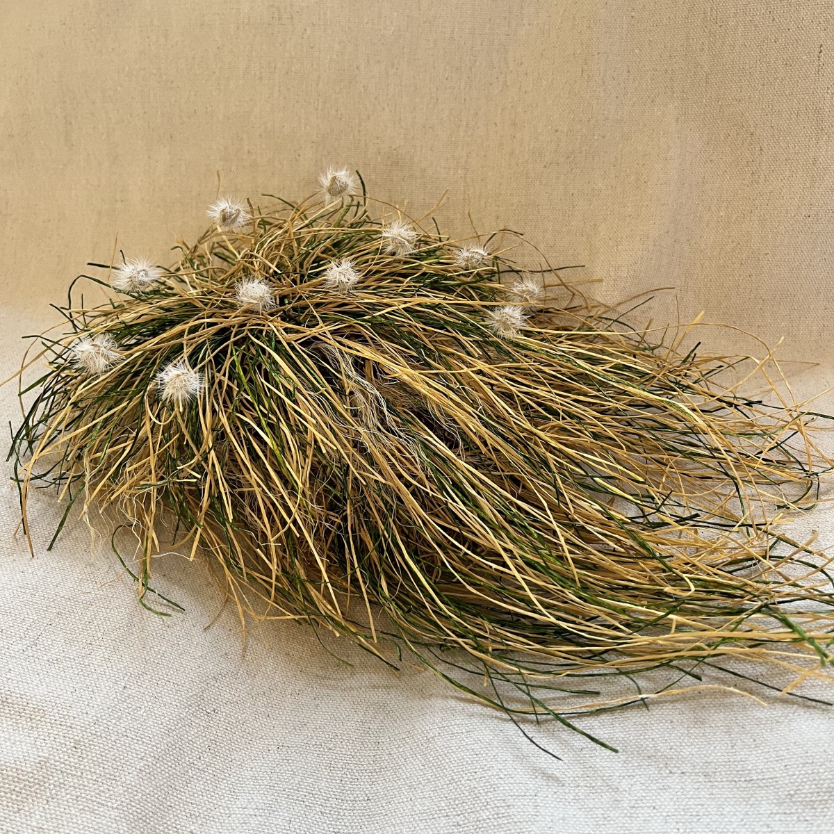 Heather Cherry, Prairie Mound