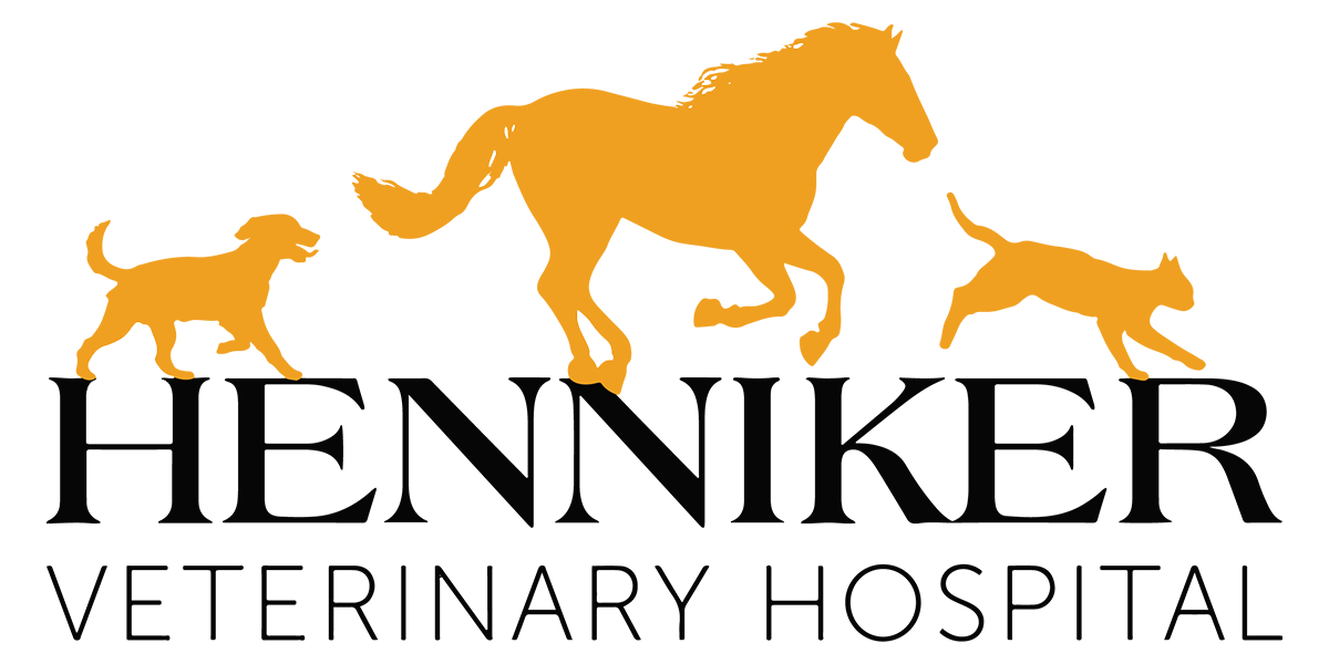 Henniker Veterinary Hospital