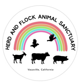 Herd & Flock Animal Sanctuary