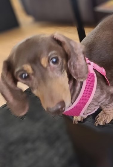 THIS WAS DAD'S BEST FRIEND..