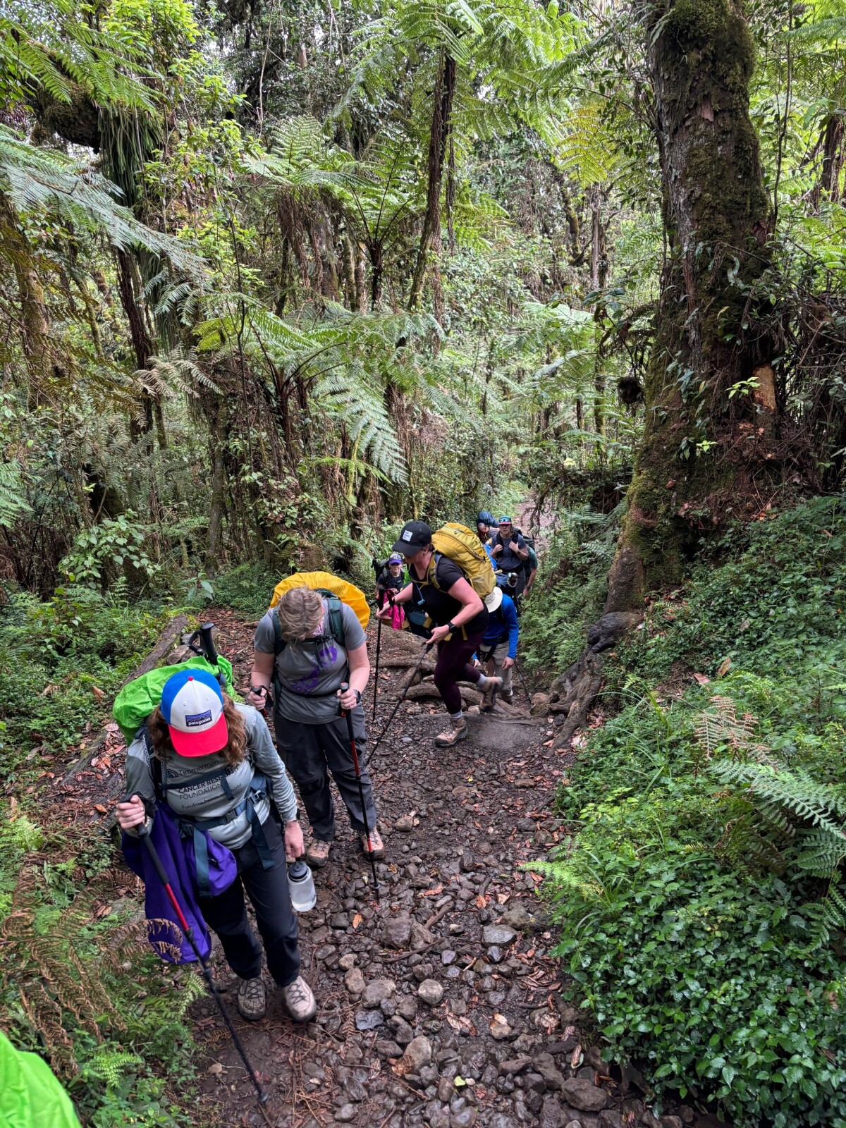 2/10/26: Day 1 (arrived at Machame Camp, elevation 10,000 feet)