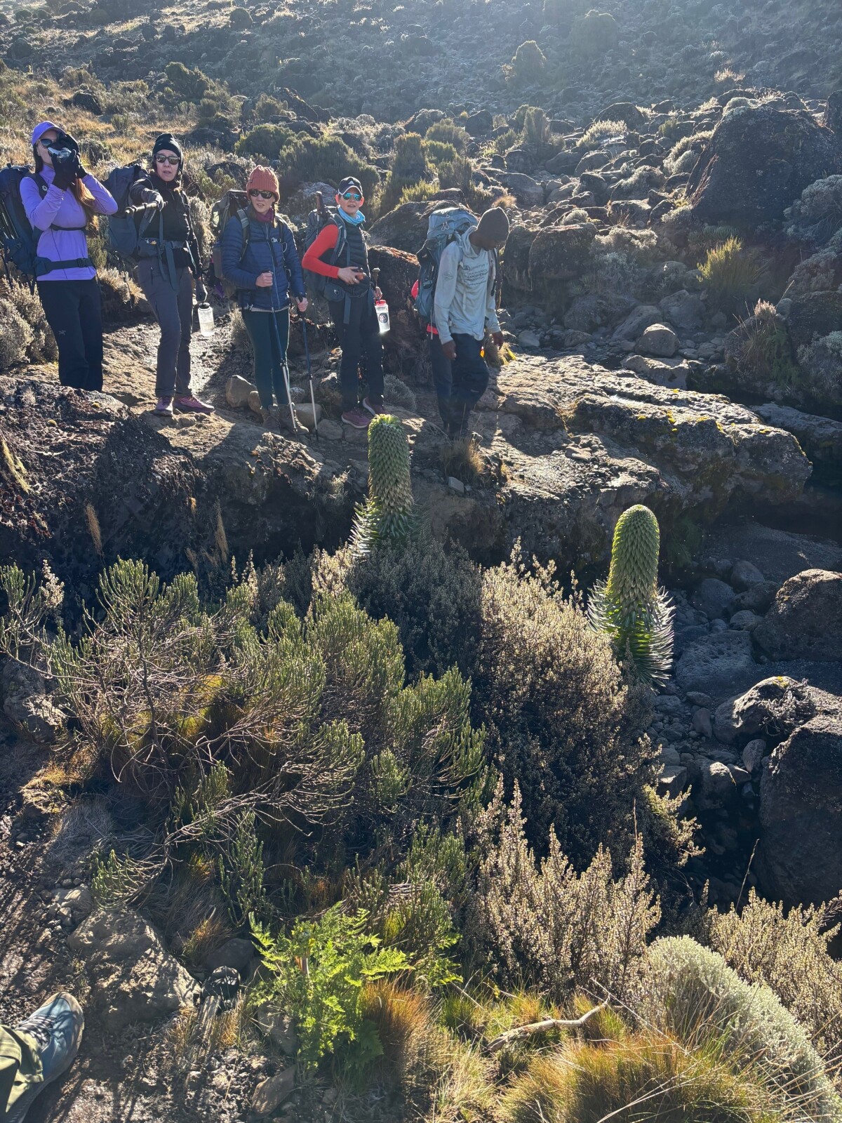 2/12/26: Day 3 (Lava Tower, elevation 15,000 feet)