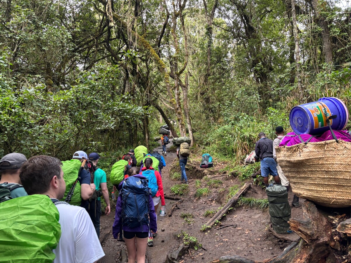 2/10/26: Day 1 (arrived at Machame Camp, elevation 10,000 feet)
