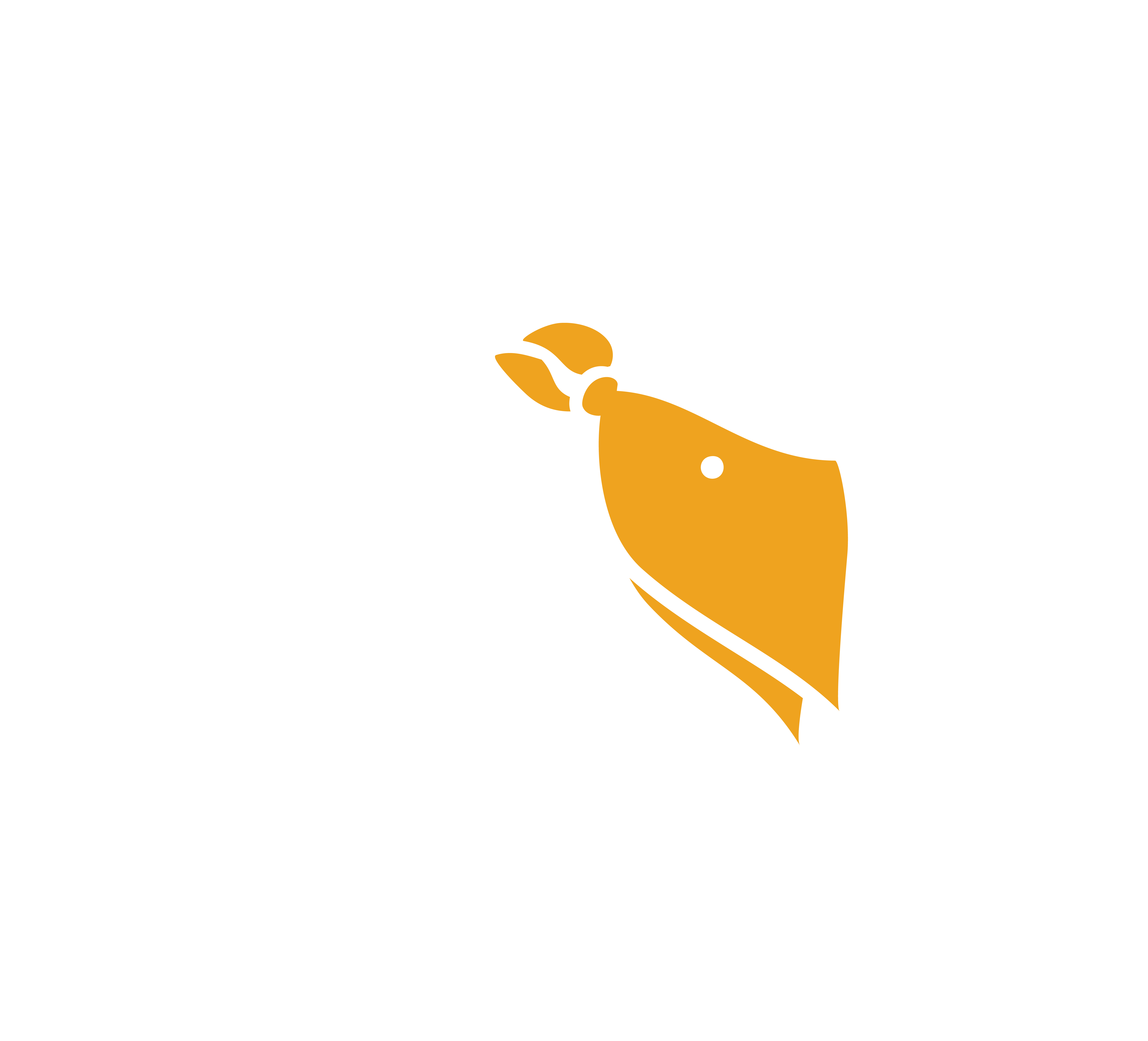 Hand in Paw
