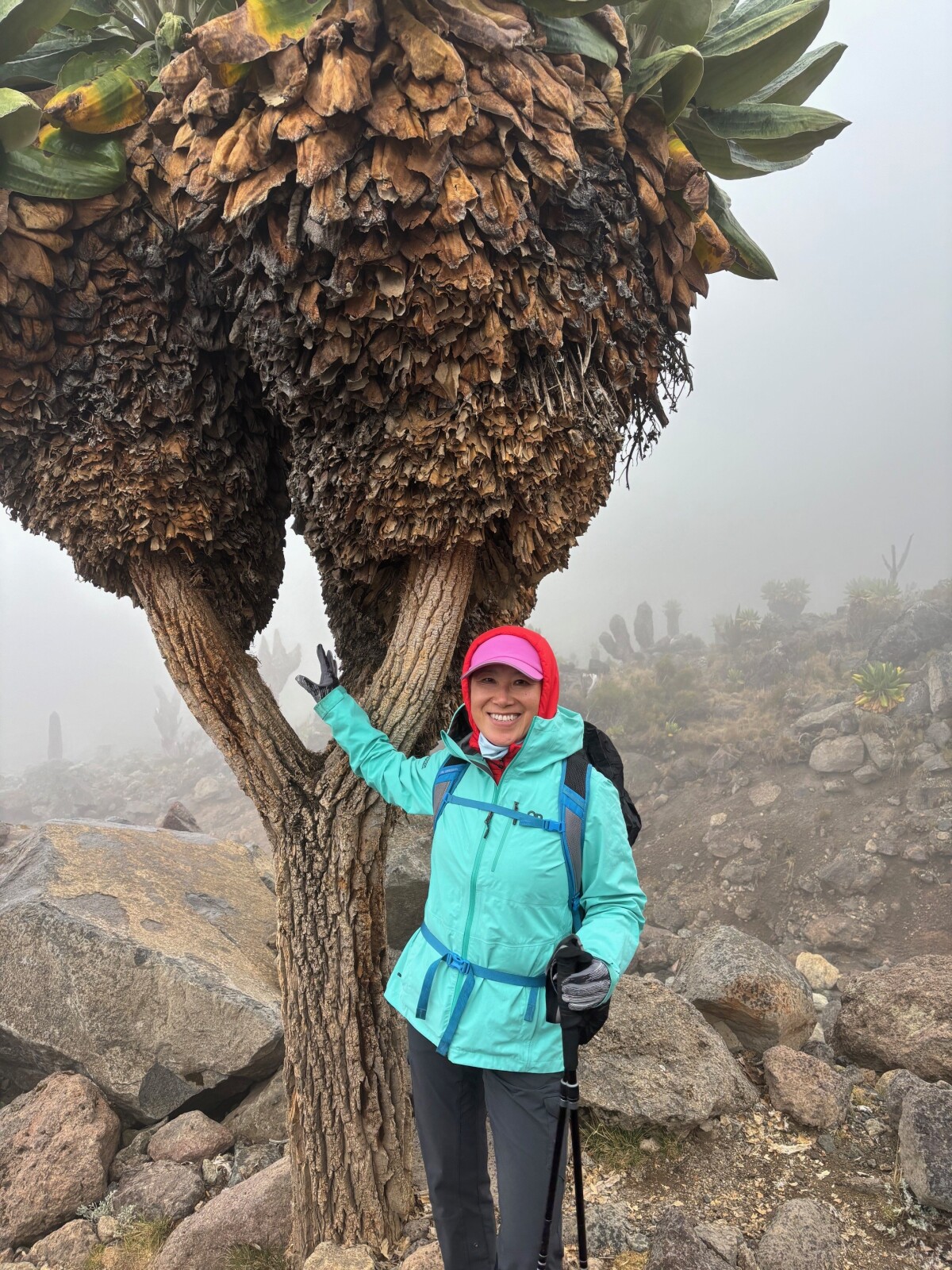 2/12/26: Day 3 (Lava Tower, elevation 15,000 feet)