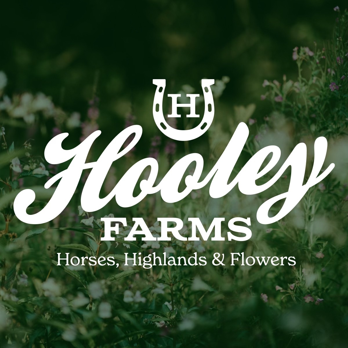 Hooley Farms