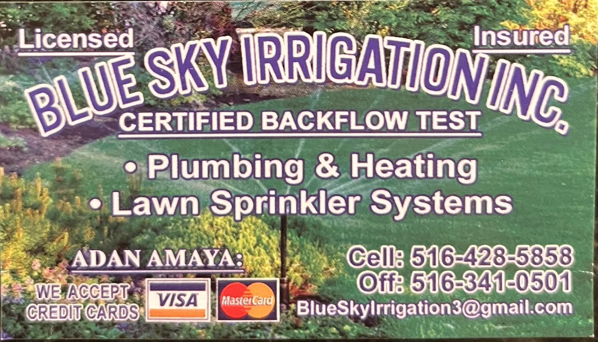 Blue Sky Irrigation