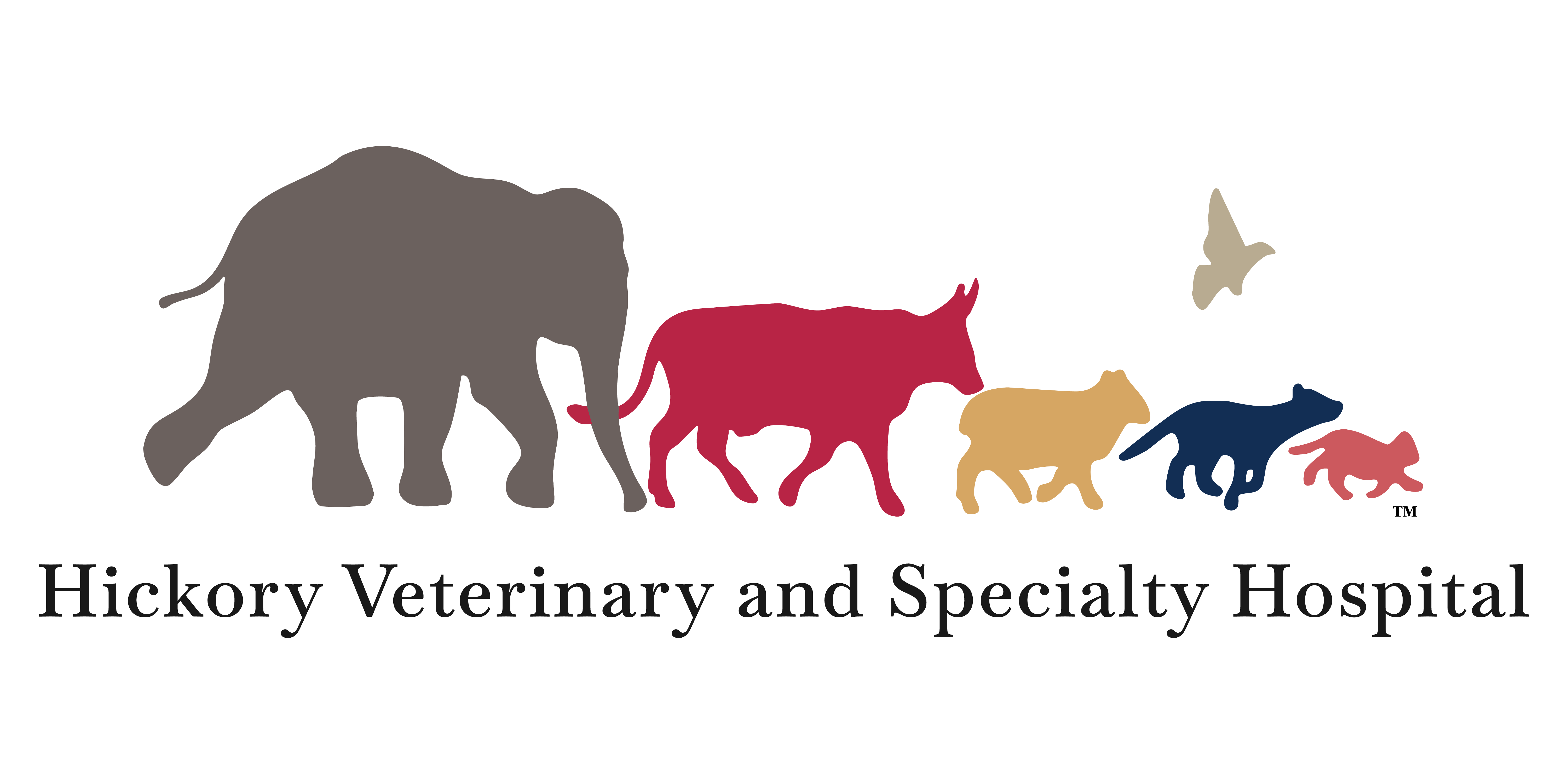 Hickory Veterinary and Specialty Hospital
