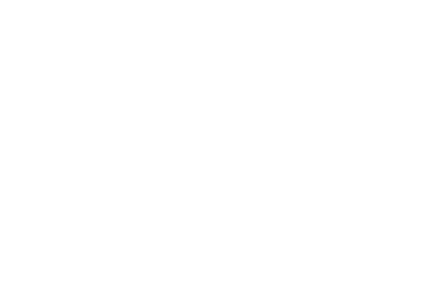 Iranian American Jewish Federation of NY, Inc.
