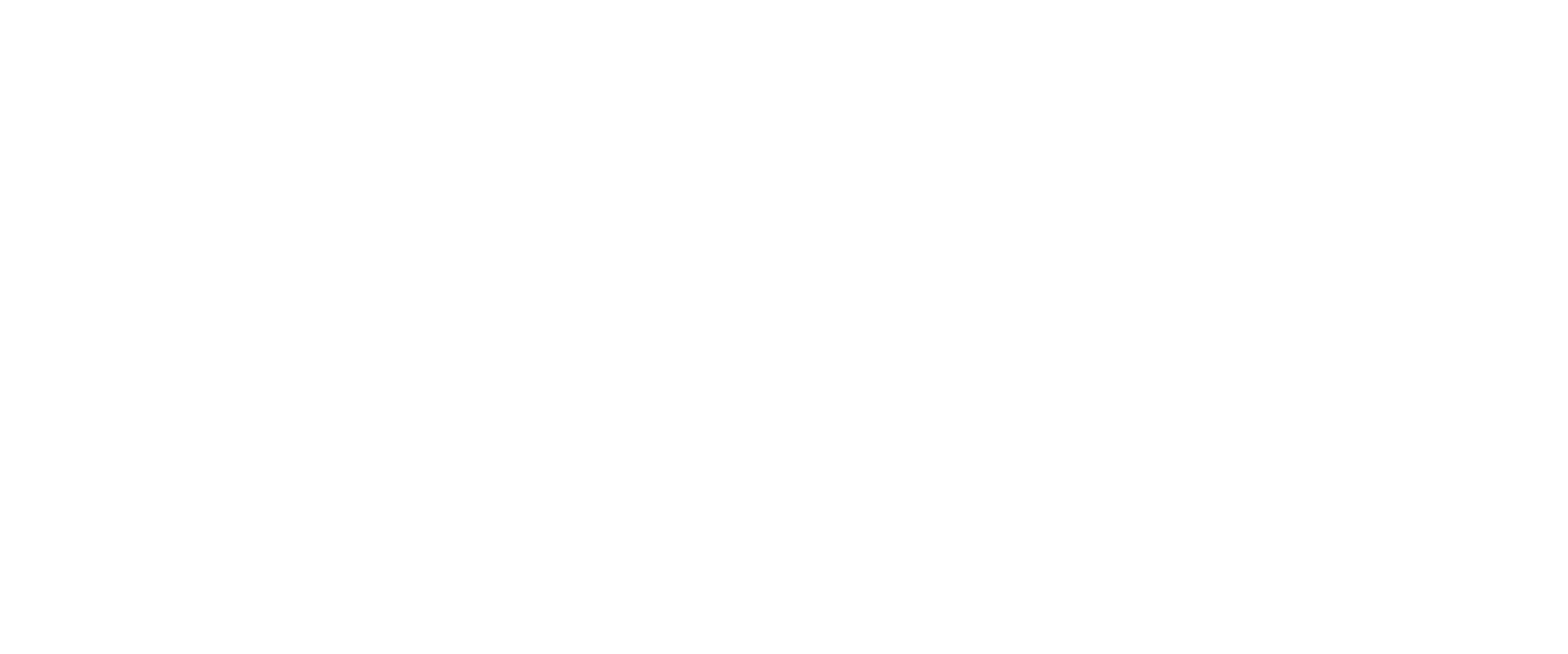 IDSF USA