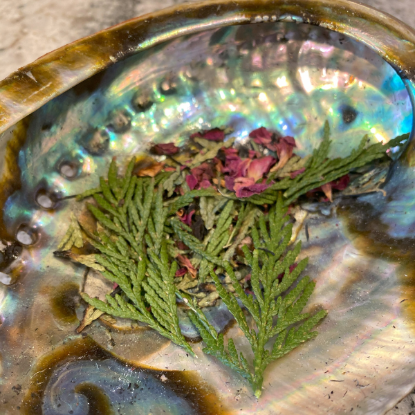 Indigenous Values are the Medicine for Health Justice