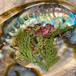 Indigenous Values are the Medicine for Health Justice