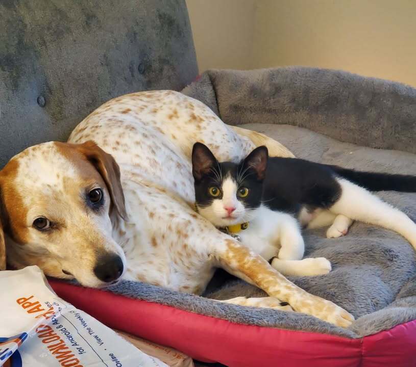 Best friends and loved by their family. 