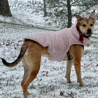 Get outta here snow!