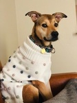Sweater weather