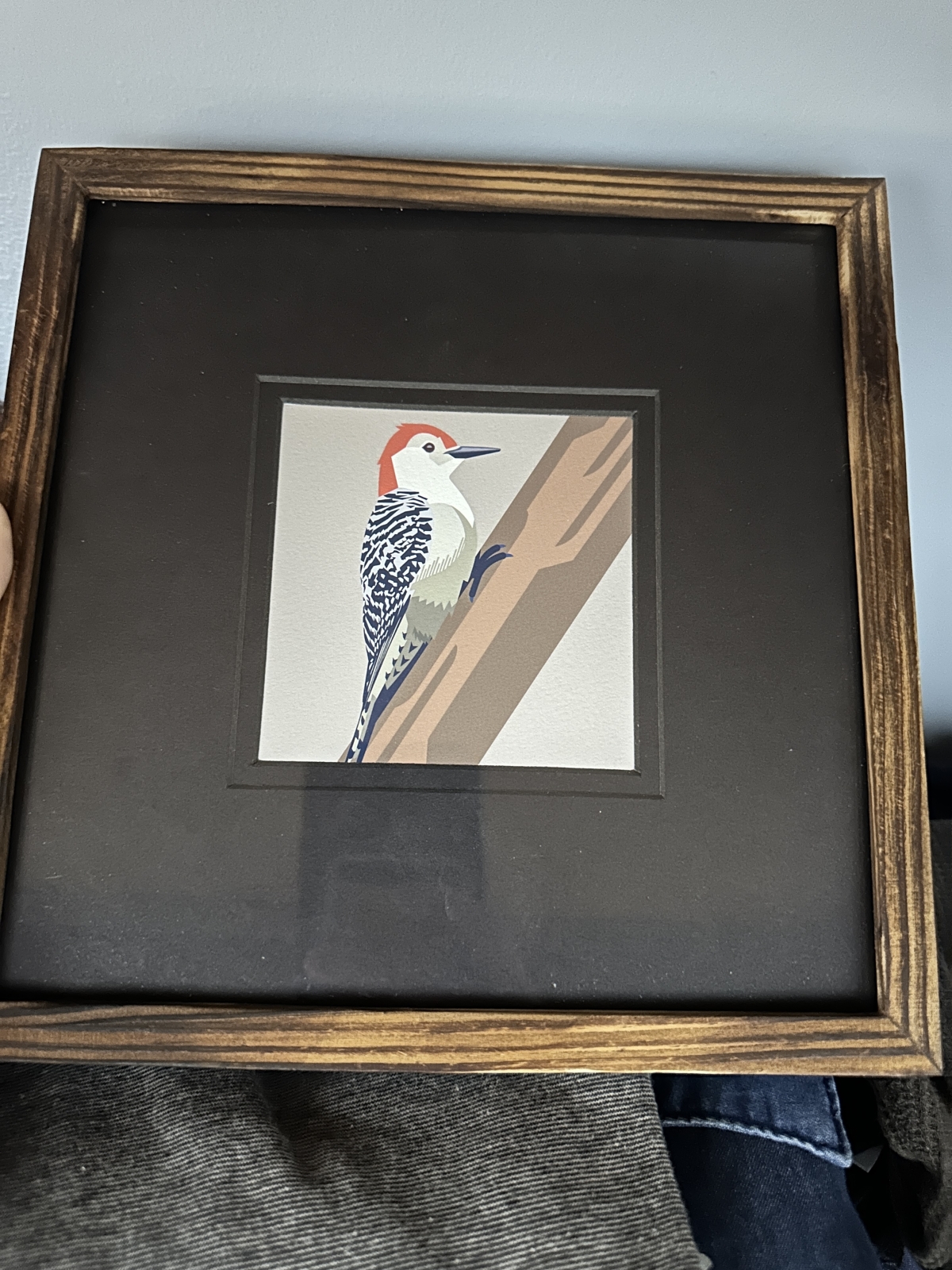 Red-Crested Woodpecker by Kerri Liu